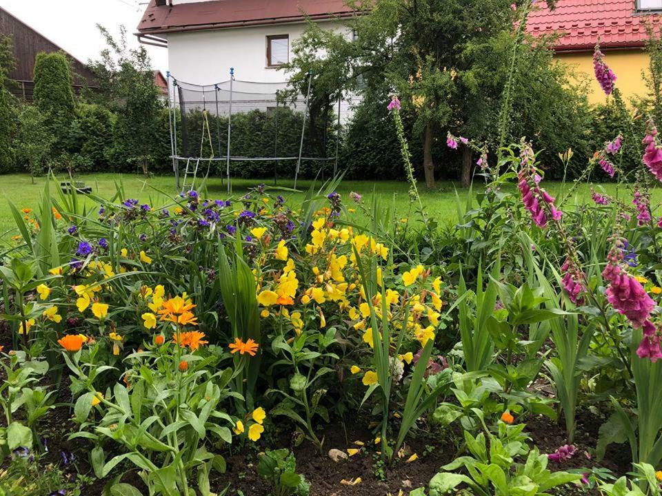 Agroturystyka uKróżlow Casa de hóspedes Czarny Dunajec Exterior foto
